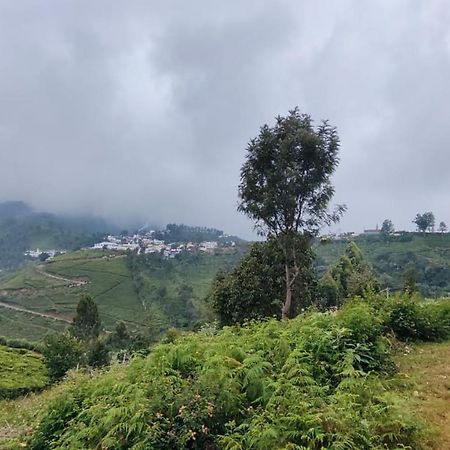Sandy 4 Bhk Homestay - Only Adults Allowed Ooty Buitenkant foto