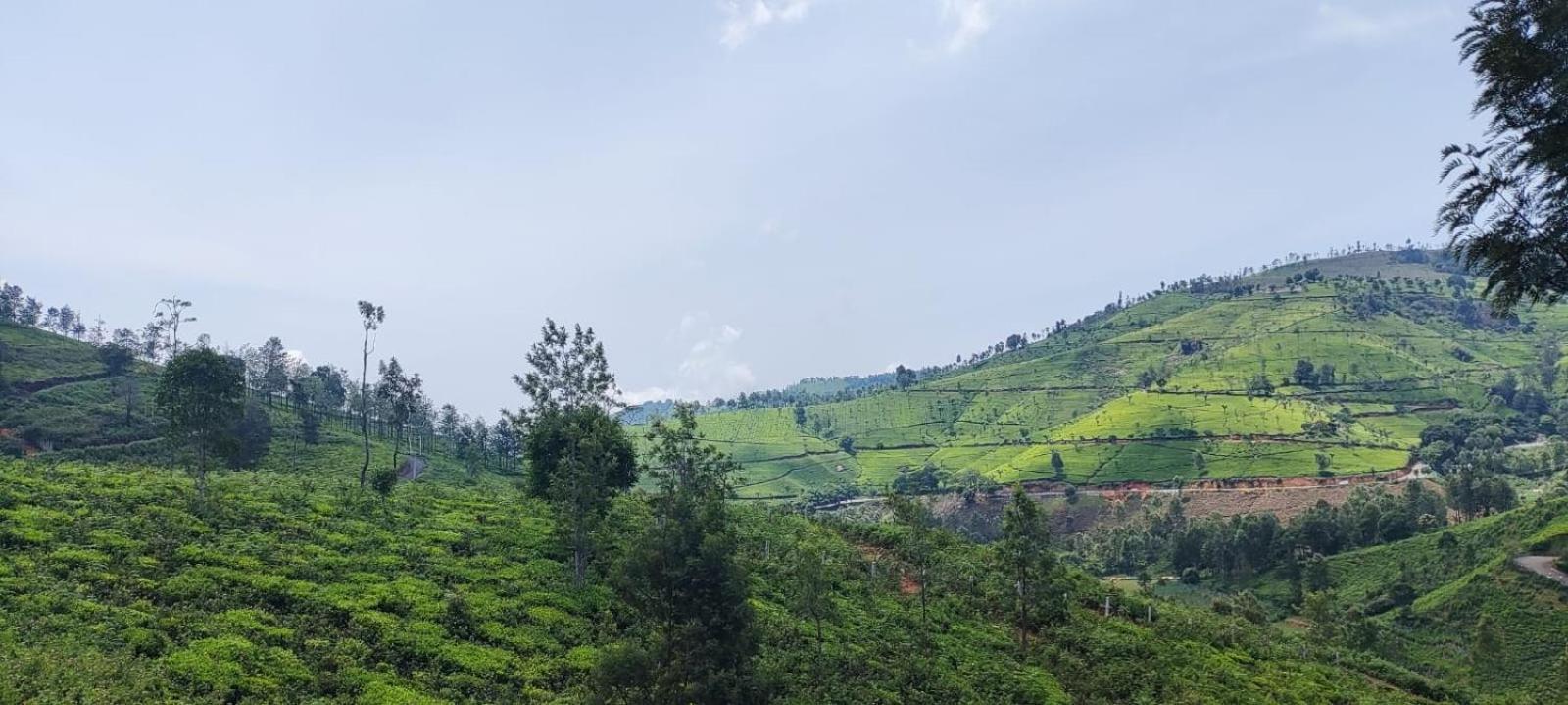 Sandy 4 Bhk Homestay - Only Adults Allowed Ooty Buitenkant foto