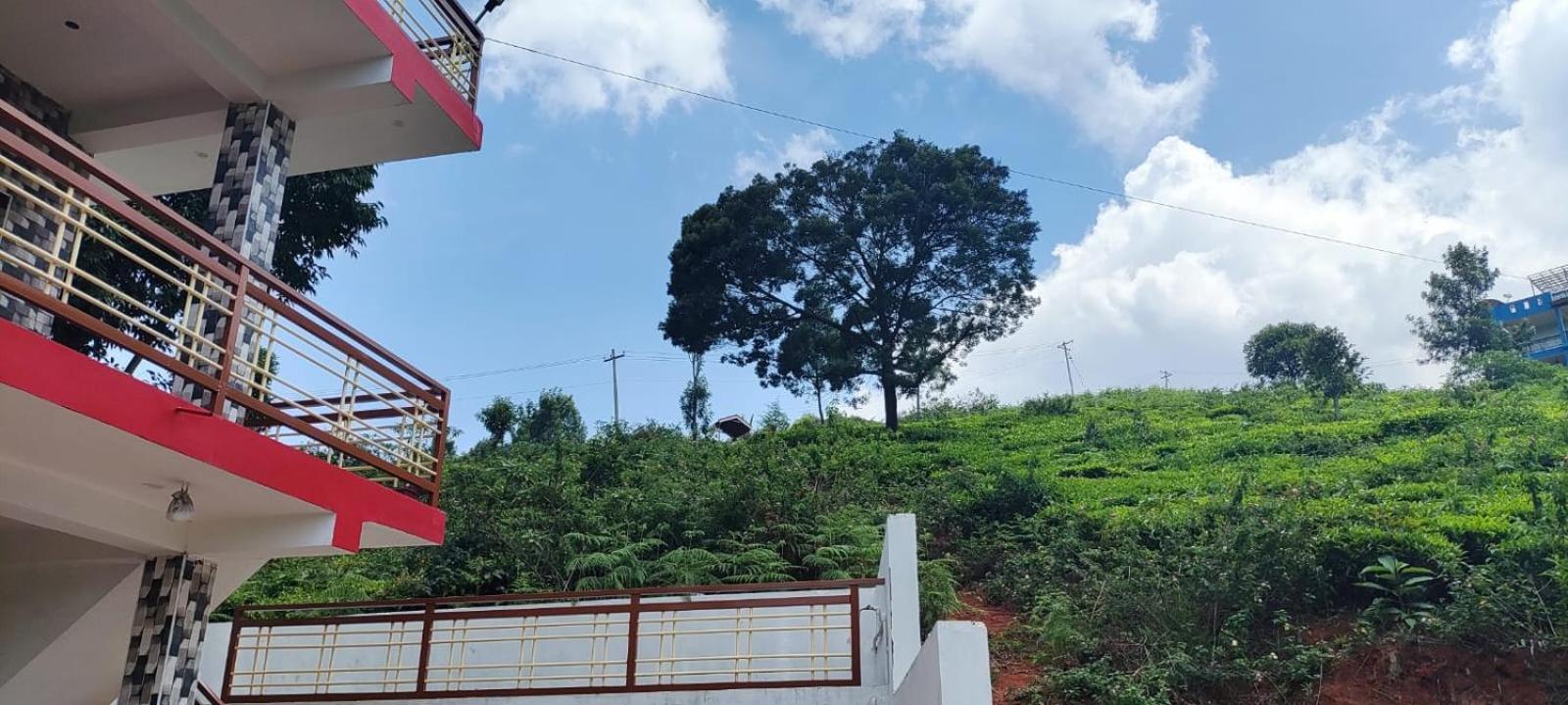 Sandy 4 Bhk Homestay - Only Adults Allowed Ooty Buitenkant foto